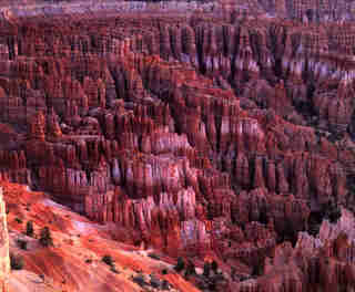 rocks