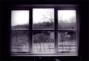 rainwindow