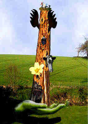 vickytree