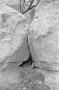 Kissing Rocks Sedona 1979 * 1054 x 1584 * (332KB)